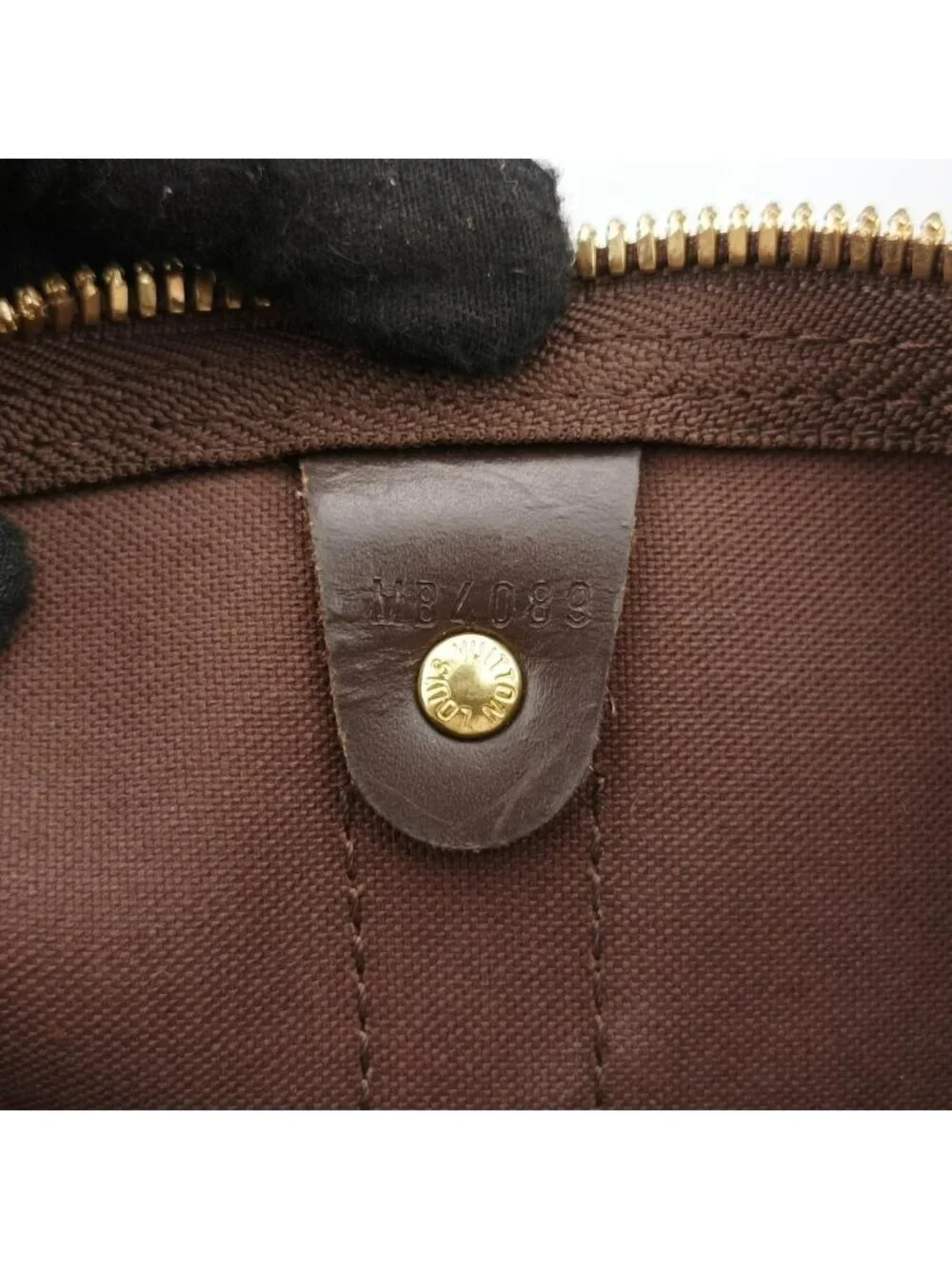 Louis Vuitton brand louis